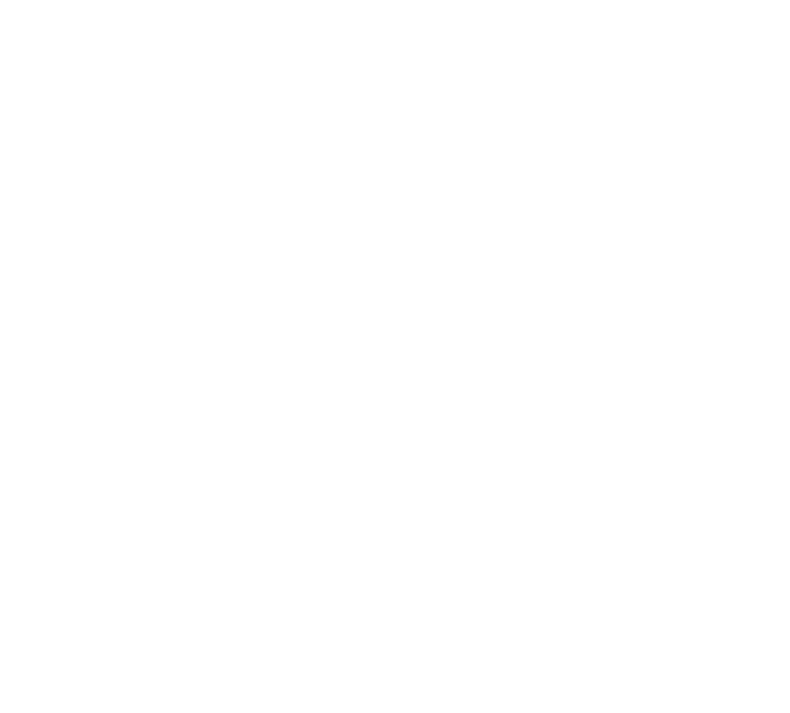 Bella Terra Vineyards logo